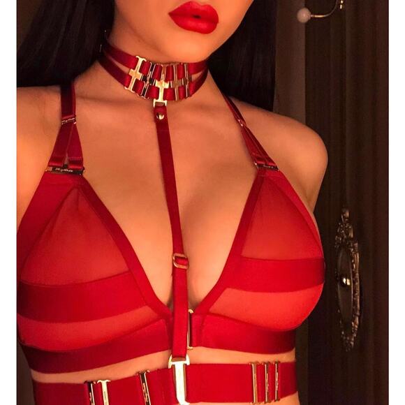 Honey Birdette SAMANTHA❤️ Red & Gold Bralette Small - Picture 1 of 5